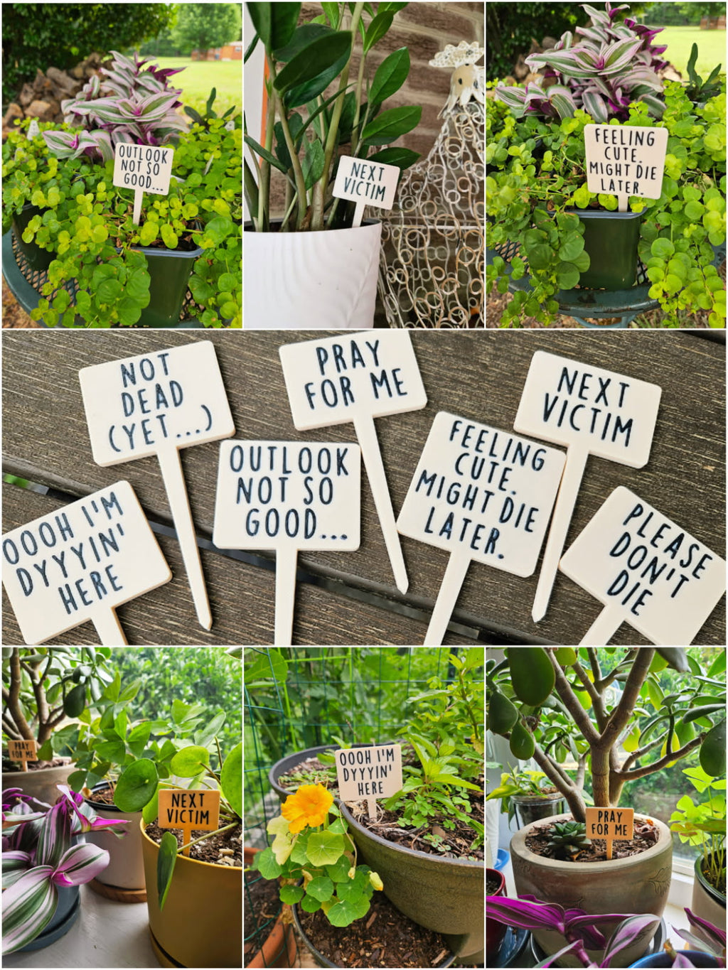 Funny Plant Markers | Set of 7 Sarcastic Plant Stakes | 3D Printed Indoor/Outdoor Plant Signs | Plant Lover Gift | Houseplant Decor